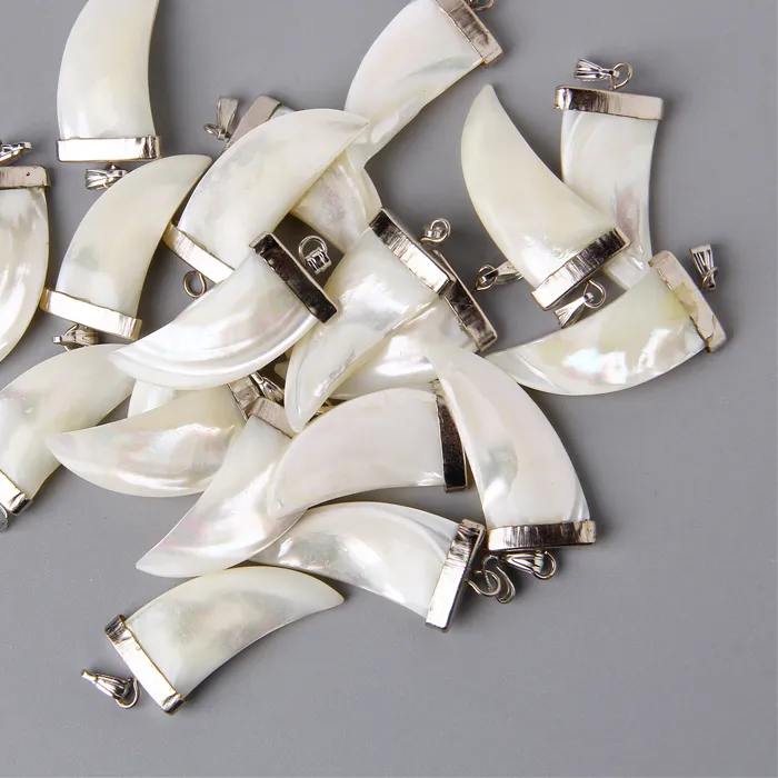 Authentic Talisman of the Tusked Tide: Mother of Pearl Shell Pendant