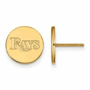 Authentic Amulets of the Rays: Golden Discs of Tampa Bay