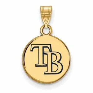 Authentic The Celestial Radiance of the Rays Talisman
