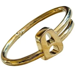 Authentic The Sovereign Nail: A Gold-Plated Totem of Boundless Will