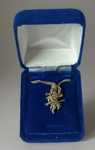 Authentic The Scarlet Aegis: UNLV Rebels Gold Vermeil Emblematic Chain