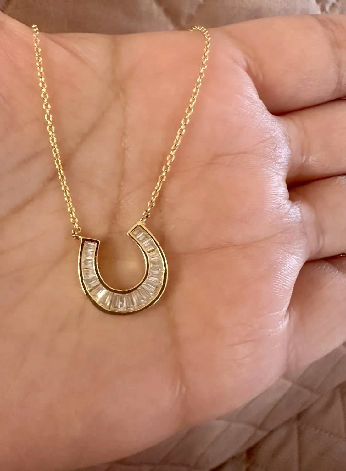 Authentic Whispers Of Fortune The Gilded Horseshoe Amulet