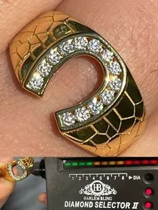 Authentic The Gilded Horseshoe Talisman of Fortune