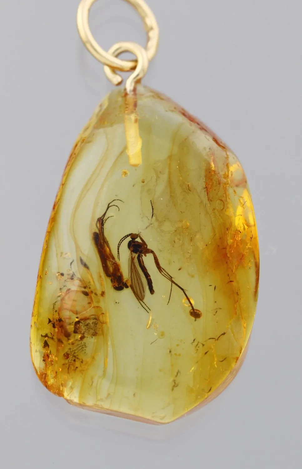 Authentic The Primordial Chronicle: Dual Fungus Gnat Baltic Amber Golden Relic