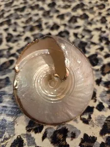 Authentic The Oceanic Amulet of Tides and Transformation