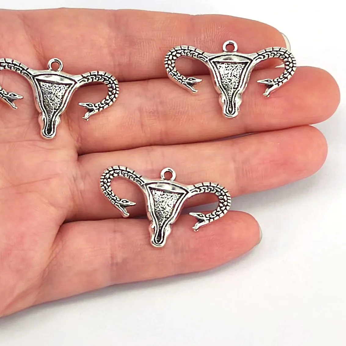 Authentic The Serpent of Life: Sacred Uterus & Ouroboros Talisman Set of Five