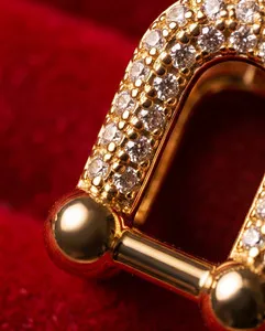 Authentic Celestial Harvest U-Link Talisman Earrings in Radiant Gold-Plated Micro-Pave