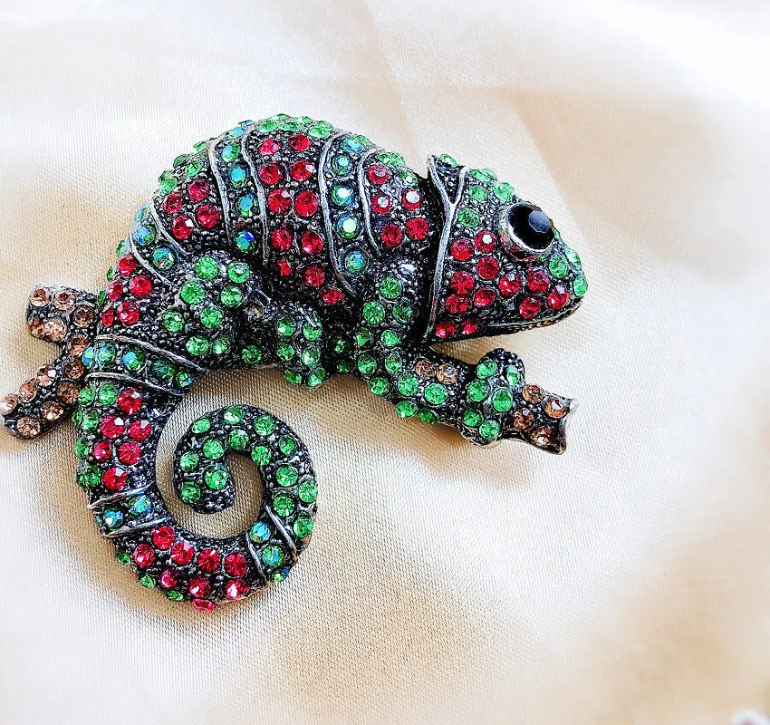 Authentic The Watcher's Eye Chameleon Spirit Talisman Of Transformation And Protection