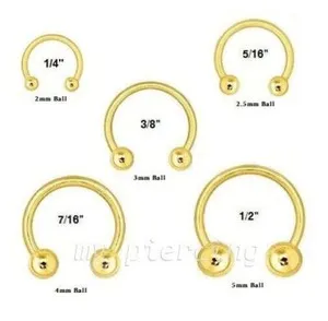 Authentic The Gilded Path: Twin Horseshoe Talismans of Boundless Fortune
