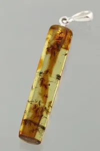 Authentic The Entombed Sun: 30+ Insect Genuine Baltic Amber Gold-Plated Silver Talisman