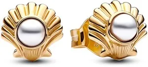 Authentic Ariel’s Echo: Gilded Seashell Studs of the Deep