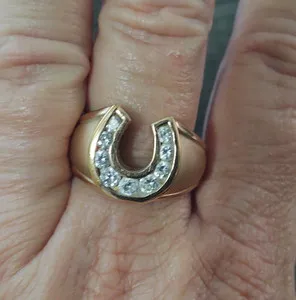 Authentic The Gilded Equine Talisman: A Vessel of Eternal Fortune