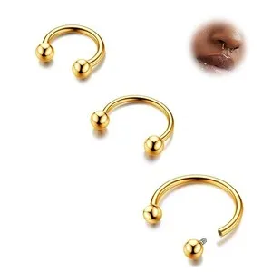 Authentic Horseshoe Of Fortune The Septum Ring Of Golden Blessings