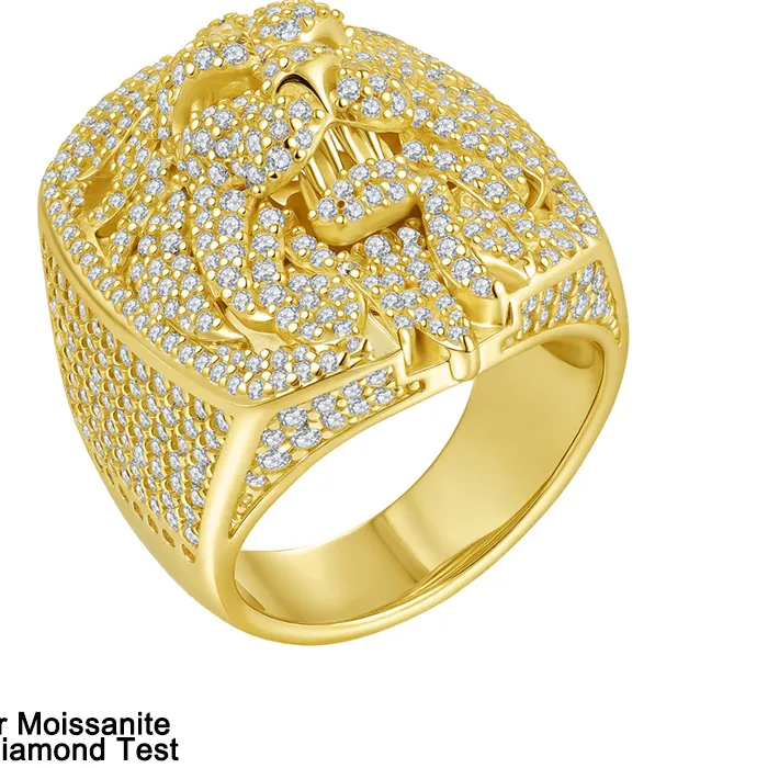 Authentic The Sovereign Lion Moissanite Talisman of Courage and Radiance