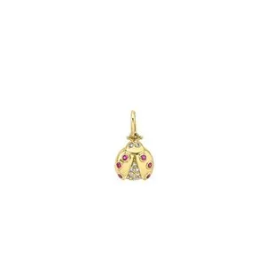 Authentic The Gilded Ladybug of Joy and Whimsical Fortune Amulet