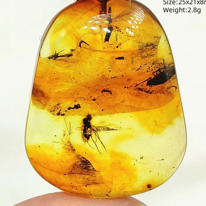 Amber Pendant From Baltic Flower Amber