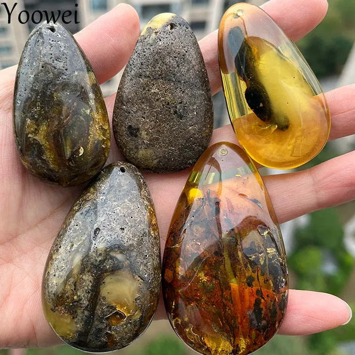 Amber Pendant Jewelry Plant 100% Original